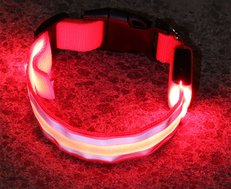 Outbound Paws LED Luminous Dog Collar — Anti-Lost Glow Safety Light