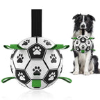 Enrichment Toy for Dogs - The Zoomies Ball
