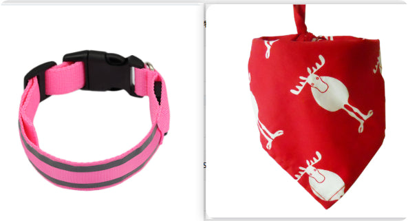 Outbound Paws LED Luminous Dog Collar — Anti-Lost Glow Safety Light