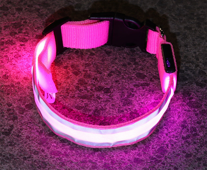 Outbound Paws LED Luminous Dog Collar — Anti-Lost Glow Safety Light