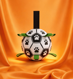 Enrichment Toy for Dogs - The Zoomies Ball