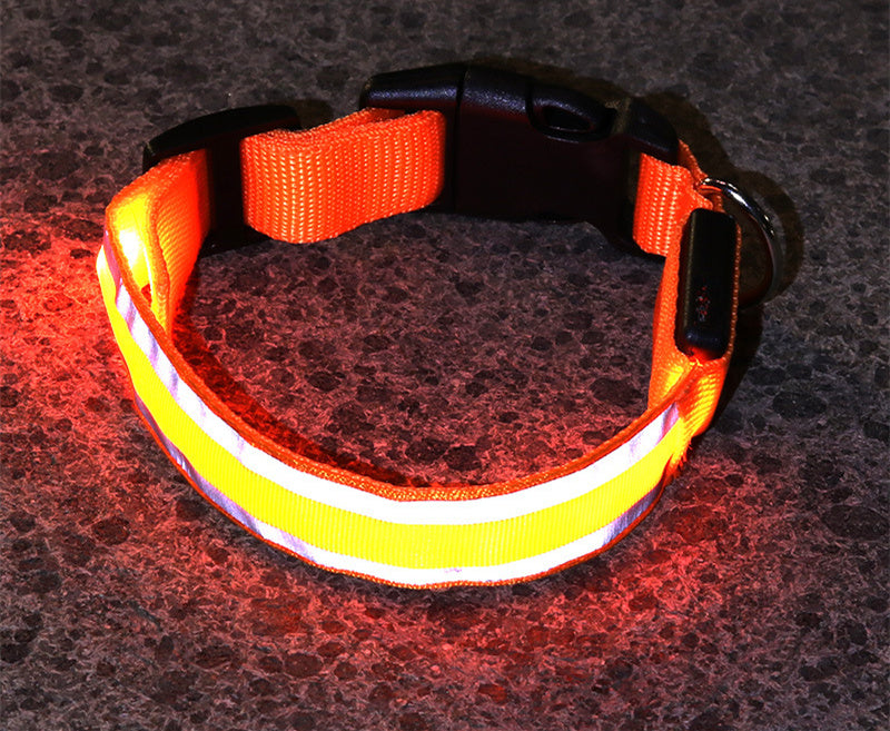 Outbound Paws LED Luminous Dog Collar — Anti-Lost Glow Safety Light