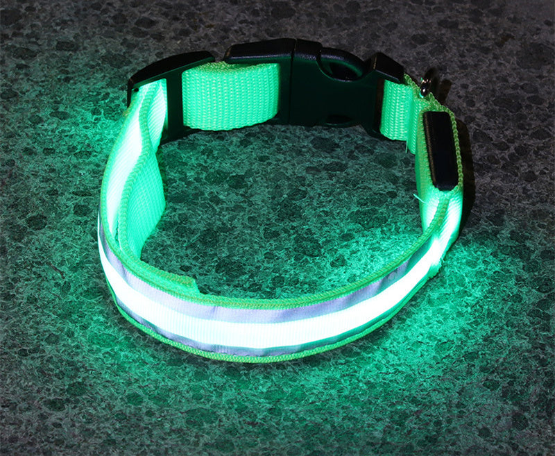 Outbound Paws LED Luminous Dog Collar — Anti-Lost Glow Safety Light