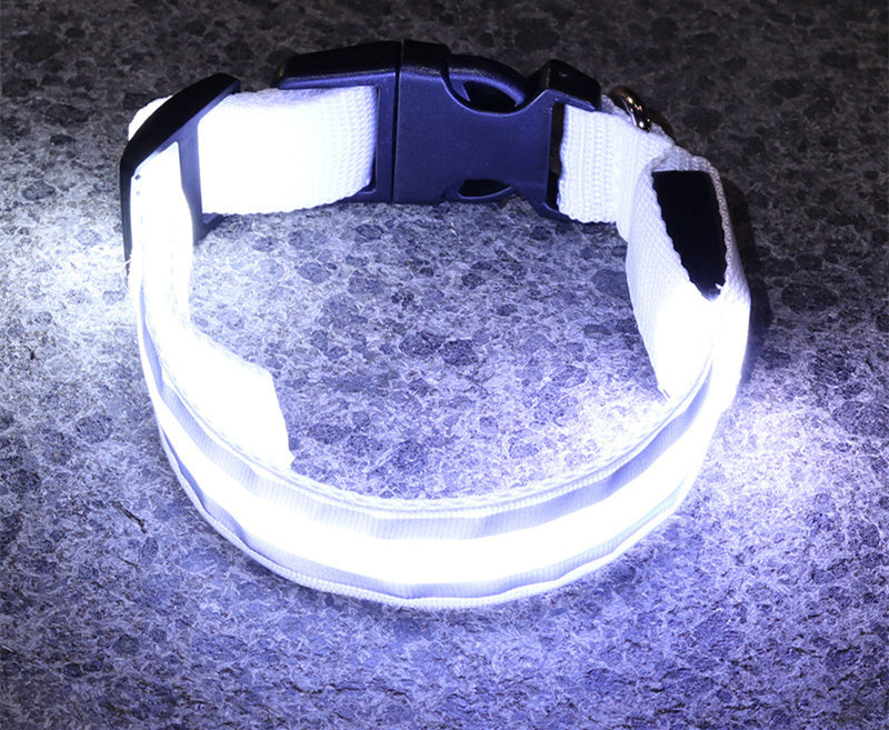 Outbound Paws LED Luminous Dog Collar — Anti-Lost Glow Safety Light