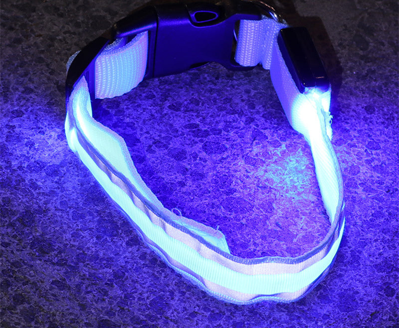 Outbound Paws LED Luminous Dog Collar — Anti-Lost Glow Safety Light