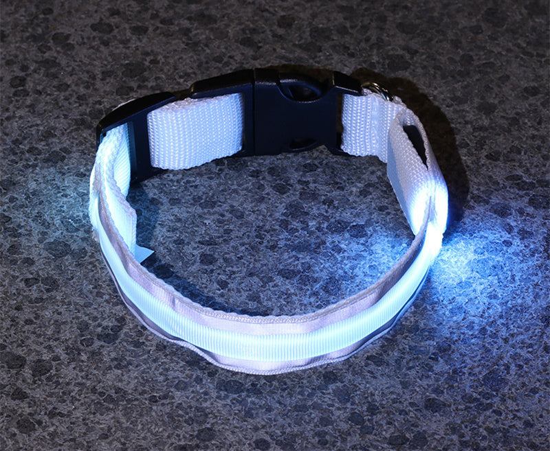 Outbound Paws LED Luminous Dog Collar — Anti-Lost Glow Safety Light