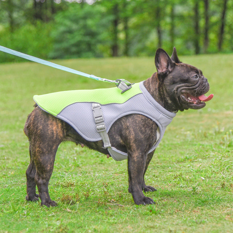 Outbound Paws Breathable Cooling Vest for Dogs (Outdoor Heat Protection)